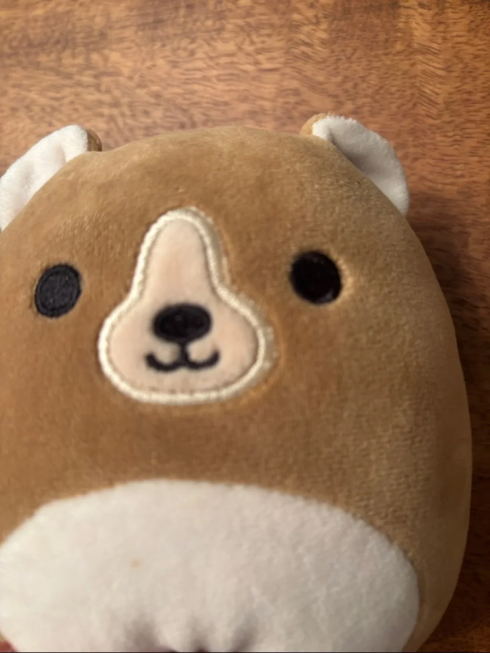 Squishmallows Brown and White Bear Plush